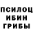 Галлюциногенные грибы мицелий Olga masalitina