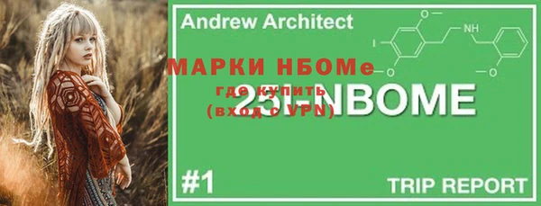 гидра Кулебаки