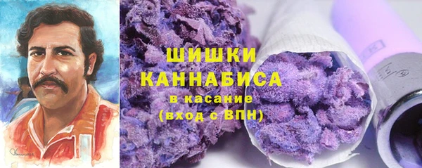гидра Кулебаки