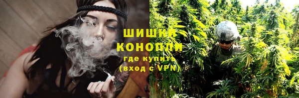 гидра Кулебаки