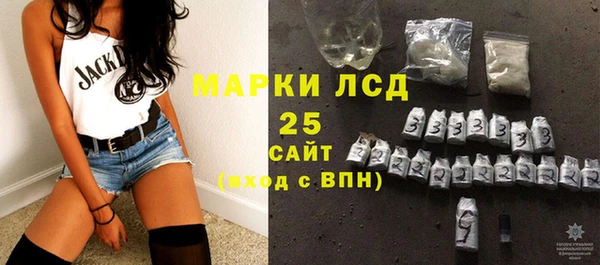гидра Кулебаки