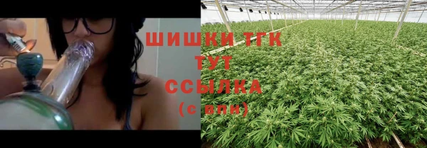 гидра Кулебаки