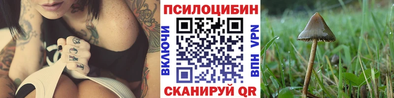 Галлюциногенные грибы GOLDEN TEACHER  нарко площадка Telegram  Приморск 